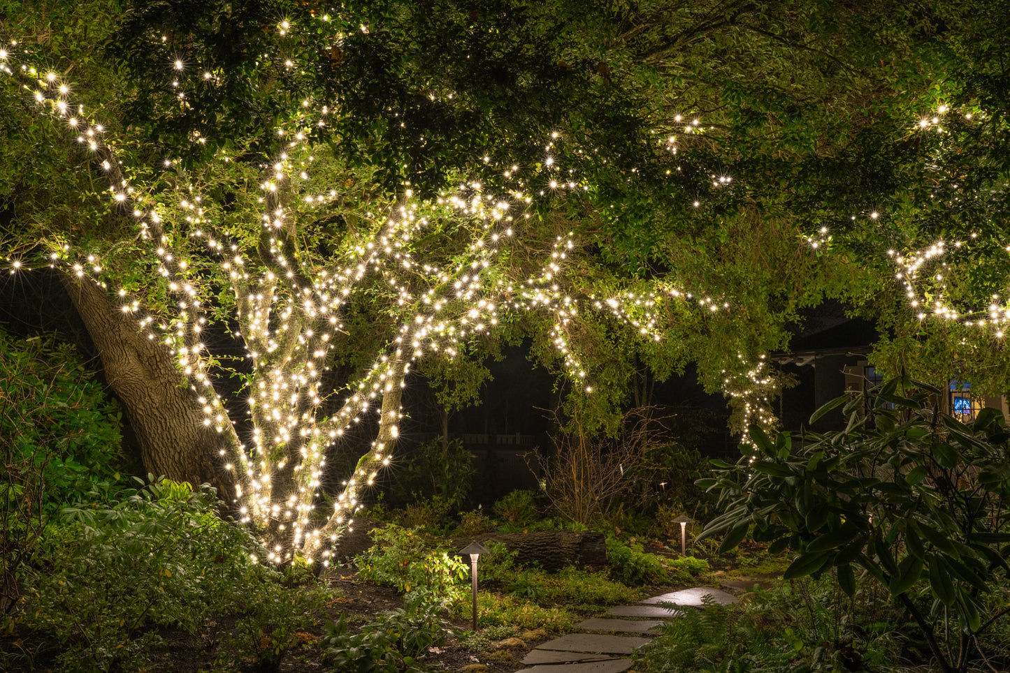 Estimé Lumières de Noël / Holiday Lights Quote