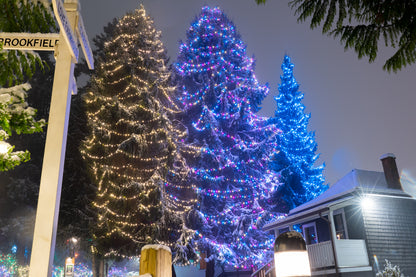 Estimé Lumières de Noël / Holiday Lights Quote