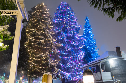 Estimé Lumières de Noël / Holiday Lights Quote