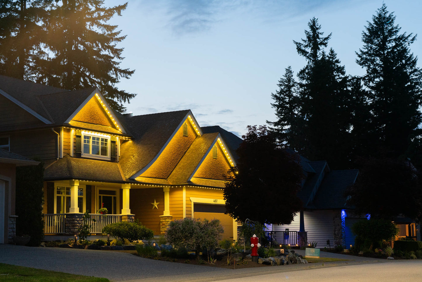 Estimé Lumières de Noël / Holiday Lights Quote