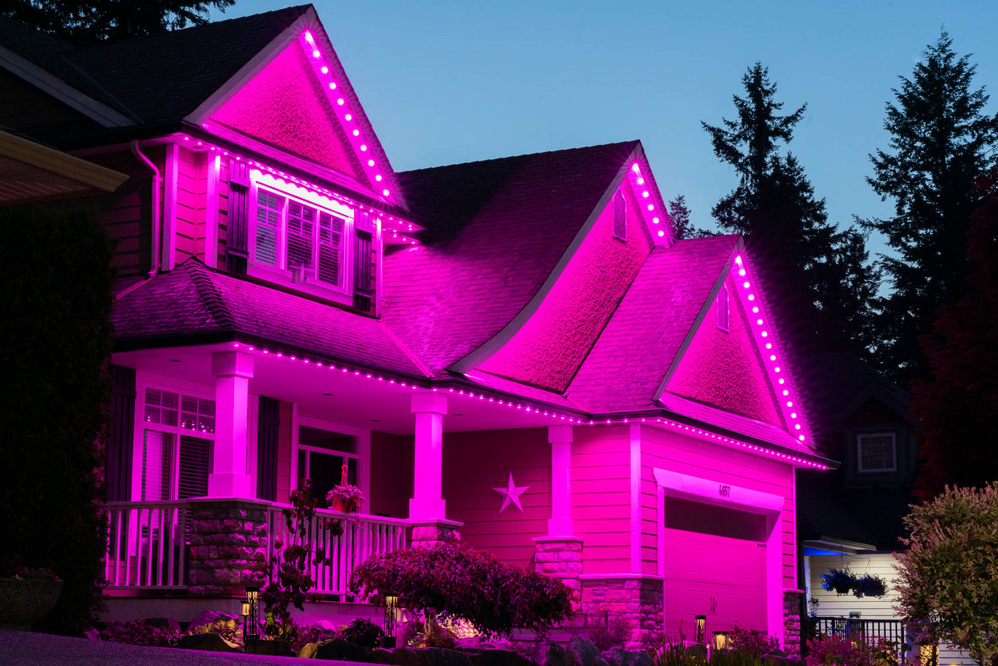 Estimé Lumières de Noël / Holiday Lights Quote