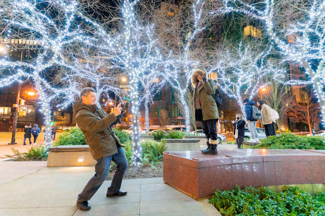 Estimé Lumières de Noël / Holiday Lights Quote